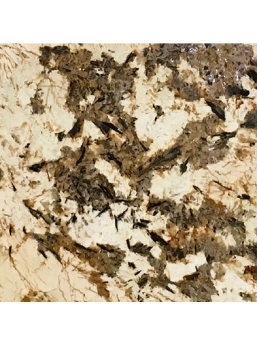 ĐÁ HOA CƯƠNG SPLENDOR GOLD